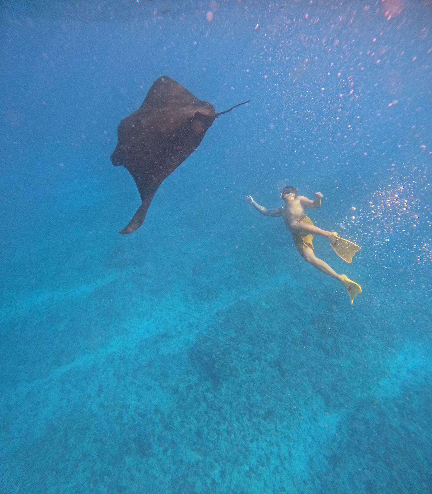Manta Point Snorkeling Nusa Penida