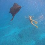 Manta Point Snorkeling Nusa Penida